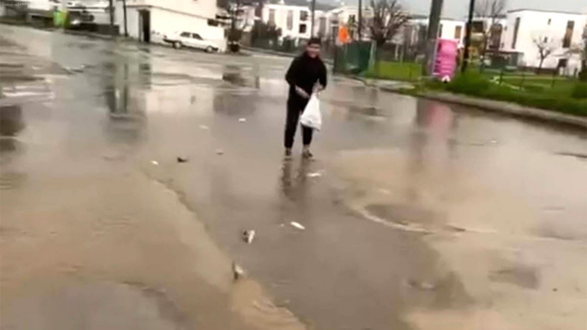 Inondations et Perturbations Majeures à Bodrum suite à des Pluies Diluviennes : Des Poissons sur la Route, des Ferries Annulés